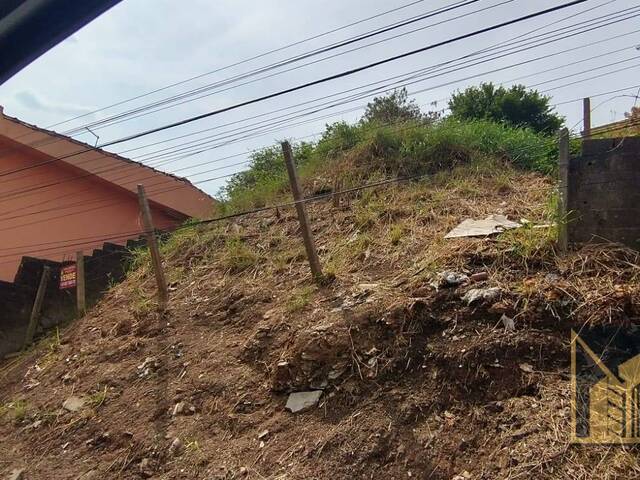 Área para Venda em Franco da Rocha - 5
